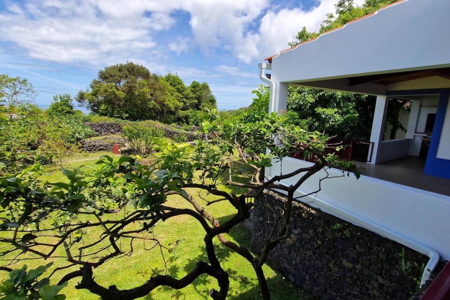 The North House By Ponta Negra Azores Villa Biscoitos  Dış mekan fotoğraf